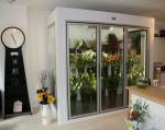 Beverage Fruits Drinks Display Walk in Cooler with Glass Door 220V/380V/440V