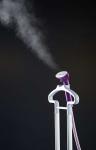 1800 W Laundry Wrinkle Remover Clothes Steamer Purple Stand Up Iron Machine