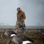 Silhouette Specklebelly Goose Hunting Decoy Custom Plastic Anti Reflective PP