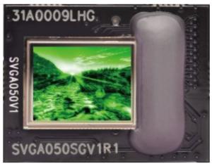 Wholesale 800×600 Resolution CMOS Process SMPTE 0.5&quot; OLED Digital Display Module from china suppliers