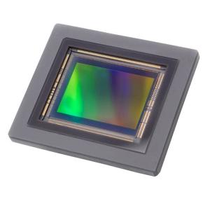 Wholesale 2511C002 from china suppliers