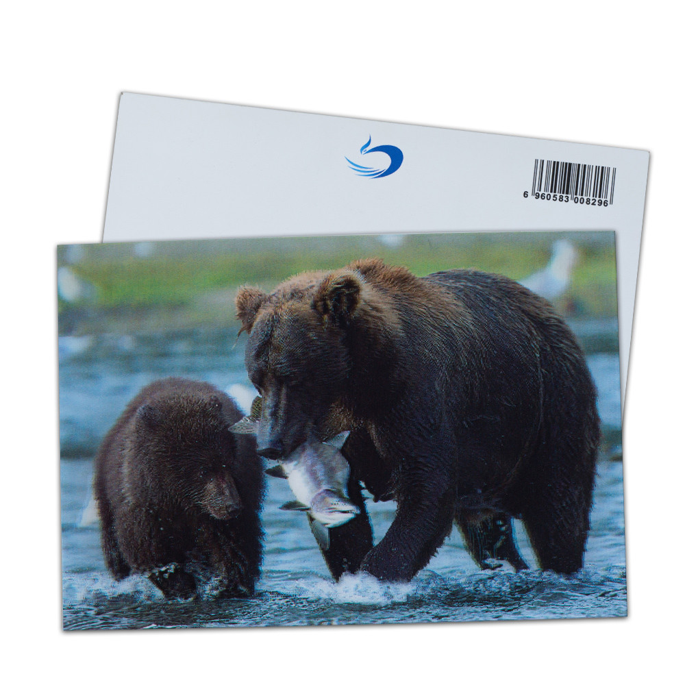 Negotiation Status read failed 3D Lenticular Postcards for Market