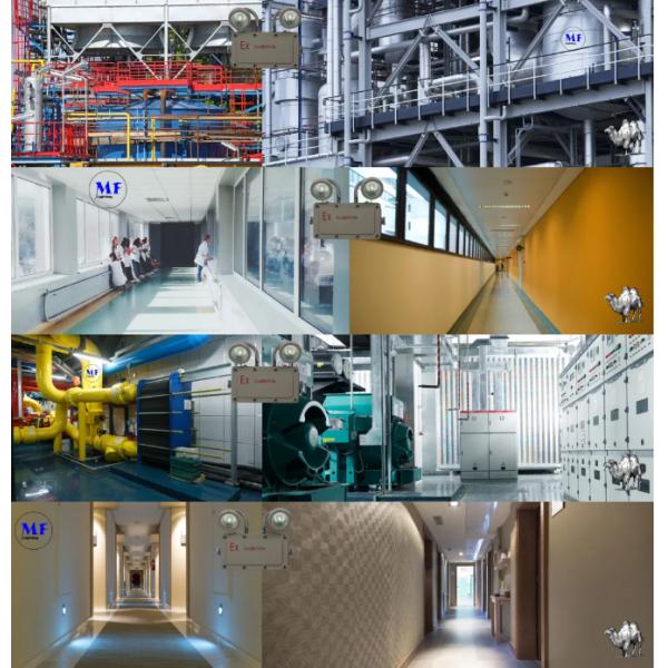 ATEX Exit Explosion-Proof Emergency Light Die Cast Aluminum 5W IP65 for Industrial Places