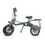 Fast Lightweight Three Wheel Electric Trike Convenient Easy Folding