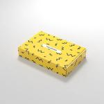 Biodegradable Glossy Lamination Corrugated Paper Box Small Corrugated Shipping