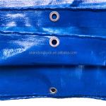 Stripe Style PE Tarpaulin for Agriculture Industrial Cover Tents Awning Roof