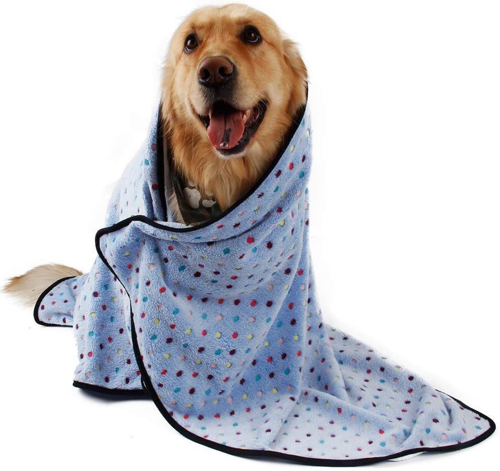 best puppy blankets