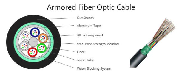 Indoor Fiber Cable Assembly Dual color Differentiation PVC LSZH OFNP Jacket for
