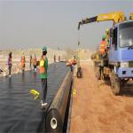 Fish Pond Double Smooth HDPE Pond Liner 1mm 2mm Geomembrane Waterproof Plastic