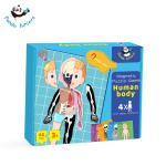 Educational Human Body Puzzle Anatomy Toys Logical Thinking Gifts For Preschoole