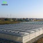 Customized Request Get Your Perfect JX-Arch Greenhouse for Agriculture in Canada