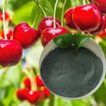 Amino Acid Chelate Copper Organic Fertilizer For Plant Microelement Supplements
