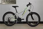 Made in China CE standard 24 inch alumimium alloy 21 speed mountain bike/bicycle