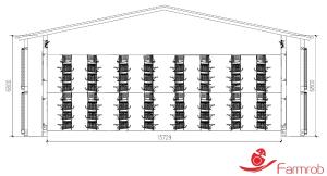 Wholesale Off Ground Automatic Egg Collection System Cage-Free-L Big Space No Eggs Outside The Nests from china suppliers