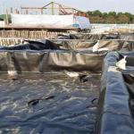 Fish Farming Ponds Pool Lagoon Aquiculture High Density Polyethylene Geomembrane