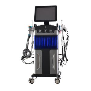 Wholesale Professional 12 in 1 Hydra Master Facial Care Skin Polishing hydro dermabrasion machine from china suppliers
