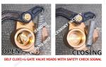 37NF-65A sea water tank depth sounding self-closing valve, self-closing