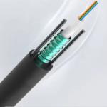 Singlemode G652D G657A 4 6 8 12 Core GYXTW Outdoor Armoured Fiber Optic Cable