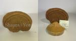 reishi mushroom series: Reishi slices, Reishi Mushroom Extract polysaccharide 20