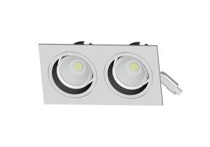 Wholesale 2*10W 15 Degree Beam Angle Lens Double Head Of COB LED Ceiling Light With Meanwell Driver from china suppliers