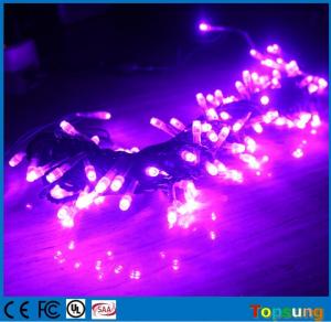 Wholesale Strong PVC purple christmas led lights outdoors 12v connectable from china suppliers