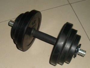 China professional weight plate dia25mm  black Rubber coated round dumbbell for gym on sale