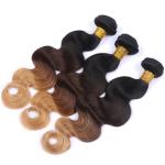 12 Inch 100% Brazilian Virgin Hair With Closure Middle Part / Colorful Ombre