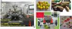 Compact Encapsulation Soft Gelatin Capsule Machine Large Capacity