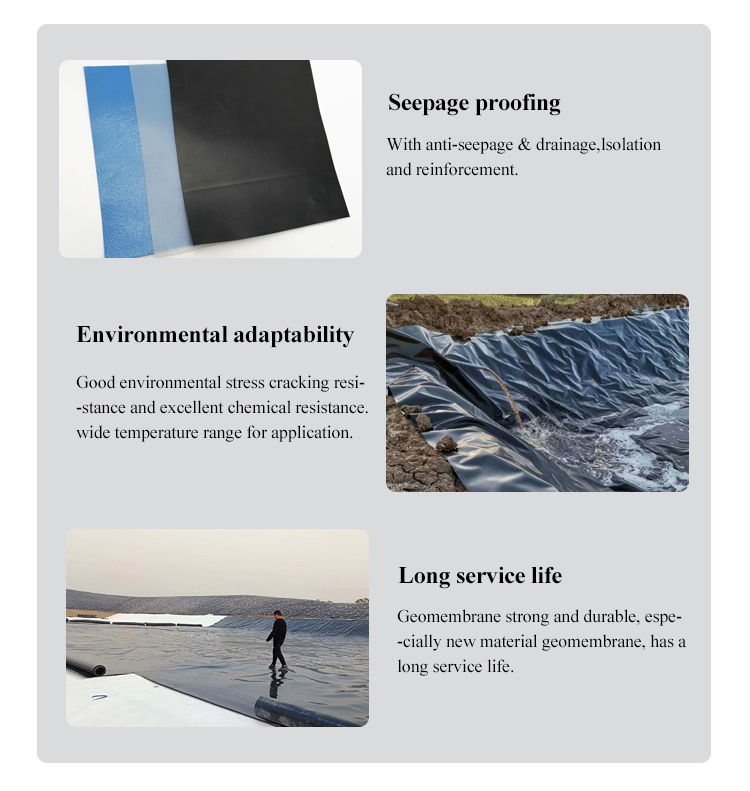Fish Pond Shrimp Pond Dock Engineering Reservoir Geomembrana Waterproof Membrane Dam Liner