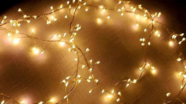 LED Indoor String Lights Warm White Plug In/Battery Powered Christmas Lights for