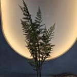 Artificial Green Plastic Palm Trees for Indoor/Outdoor Use