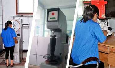 Precision Carbon Steel Investment Casting Parts with Machining and Polishing Process