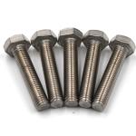 Industrial Anti Rust Galvanized Hex Bolts High Holding Power Dacromet Coated