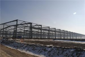 Wholesale 200000m2 Steel Structure Industrial Park Large Scale Prefabricated Building from china suppliers
