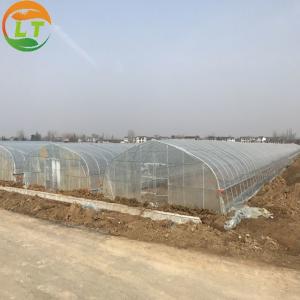 Wholesale Hot-Dipped Galvanized Frame Single-Span Agricultural Greenhouse for Backyard Planting from china suppliers