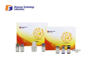 China Human NT - ProBNP ELISA Test Kit N - Terminal Pro - Brain Natriuretic Peptide on sale