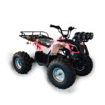 Battery Powered Beach Buggy Fairground For Driving / 1-2 Player Beach Vehicle