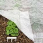 White PP Frost Anti Pull 180 Gram Agricultural Mulch Film