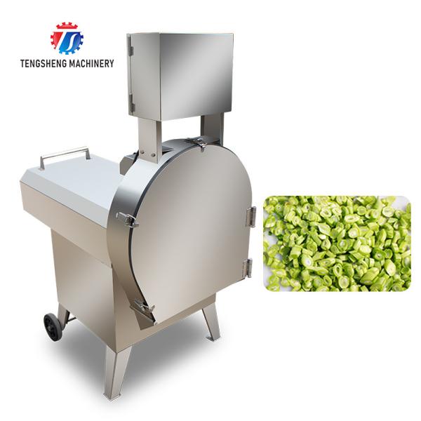 Large commercial canteen cutting machine vegetable and melon slicing machine