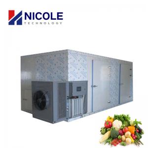 China Hot Air Fruit And Vegetable Dryer Dehydrator Machine Industrial Eco Friendly on sale