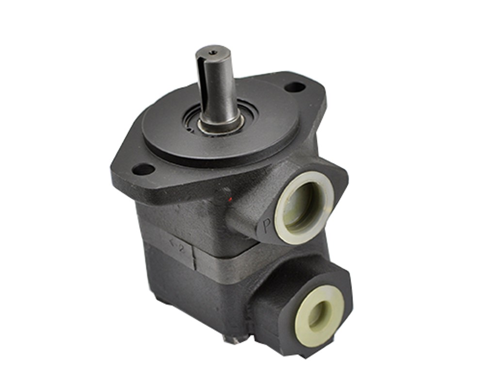 Denison T6C T6D T6E Rotary Vane Vacuum Pump for Marine Machine