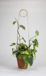 Metal Plant Support Stainless Steel Wire Forming Bright Surface For Potted