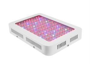 Wholesale 1000W Full Spectrum Grow Plant Light , IP67 Led Grow Light For Indoor Garden from china suppliers