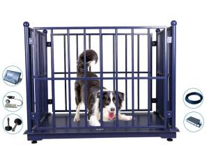 Wholesale ZEMIC 5000KG Horse Weighing Scales Dustproof With Locks from china suppliers