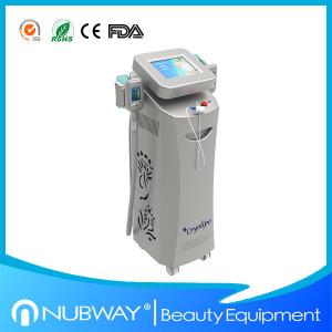 China cryolipolysis +vaccum slimming machine  for fat reduce weight loss for salon on sale