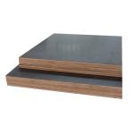 Outdoor Use 18mm 21mm Eucalyptus Film Faced Birch Plywood