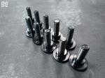 INCA Titanium Alloy Screws Ten Pieces Minimum Order For Touring Series