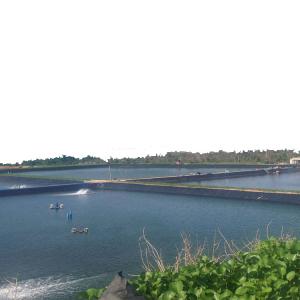 China Online Technical Support HDPE Geomembrane for Man-made Lakes ASTM Standard in Tenglu on sale