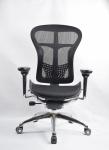 High Back Ergo Computer Mesh Seat Chair ODM