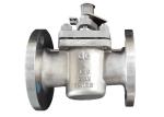 Class 150 2-way Stainless Steel Valves Flanged Plug Valve ANSI / ASME B16.5